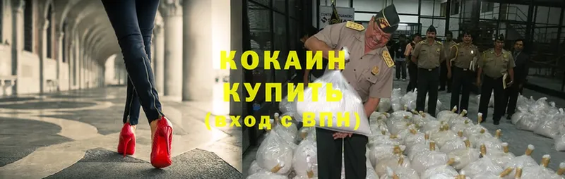 Кокаин Fish Scale  Выборг 