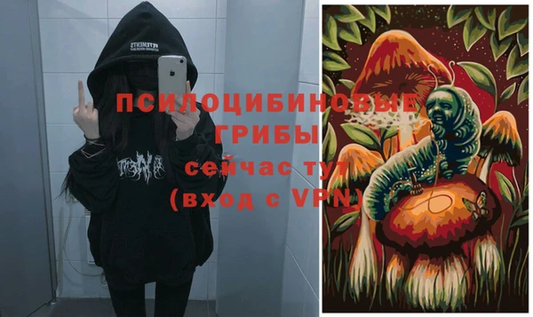 герыч Новозыбков