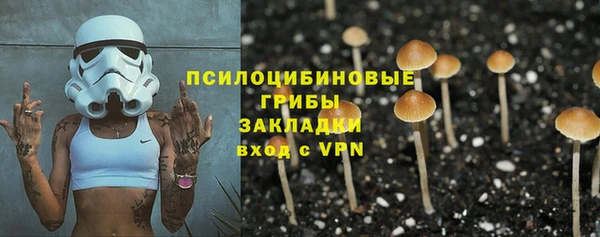 марки nbome Новодвинск