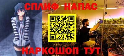 дурь Беслан