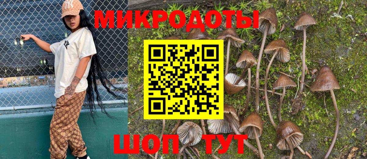 Псилоцибиновые грибы Magic Shrooms Выборг