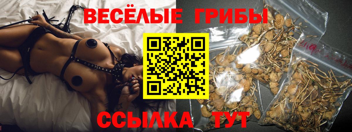 Выборг  наркота  Вход с VPN  Галлюциногенные грибы GOLDEN TEACHER 
