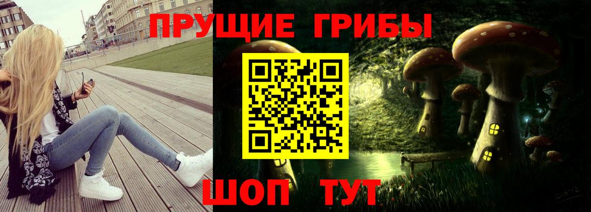 Псилоцибиновые грибы мицелий  Галлюциногенные грибы GOLDEN TEACHER  Выборг 