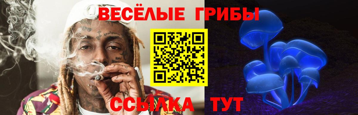 Галлюциногенные грибы Magic Shrooms Выборг