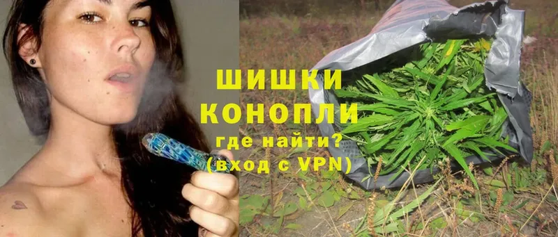 Марихуана SATIVA & INDICA  закладка  Выборг 